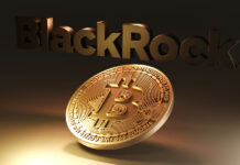 BlackRock forecasts cryptocurrency and blockchain as key market forces by 2026 Blackrock