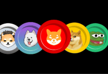 Bybit Alpha insights: Meme coin resurgence led by solana ecosystem Meme coin